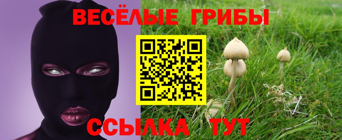 Галлюциногенные грибы мухоморы Карачаевск