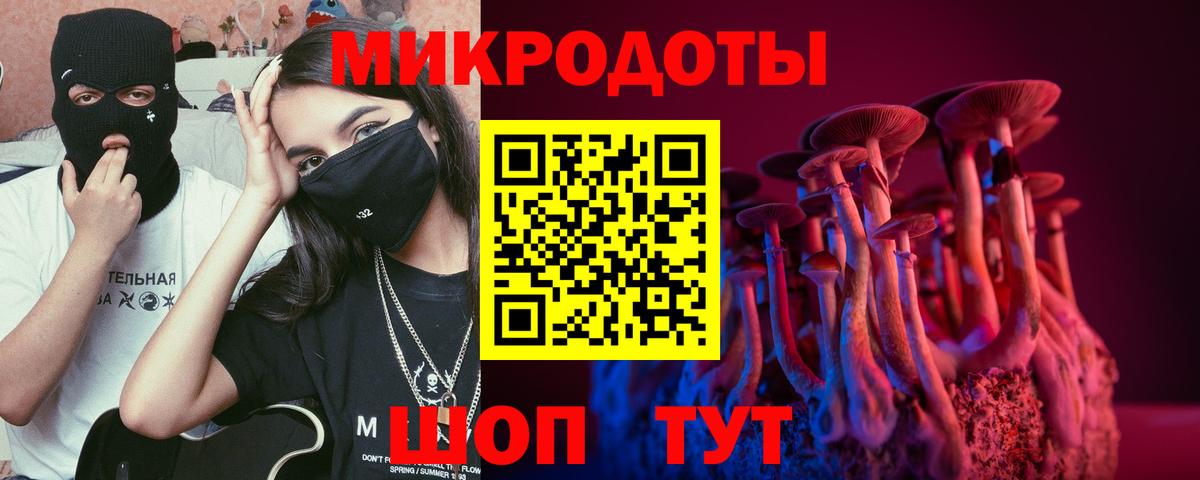 Псилоцибиновые грибы MAGIC MUSHROOMS  Псилоцибиновые грибы Psilocybe  Вход с VPN  Карачаевск 